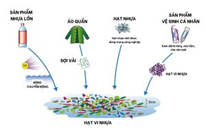 5 Biện Pháp Giảm TLL Vi Nhựa Trong Cơ Thể